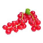 Red Currant Product Image