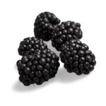 Blackberry Product Image
