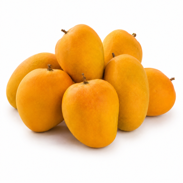 Alphonso Mango (1 Dozen)