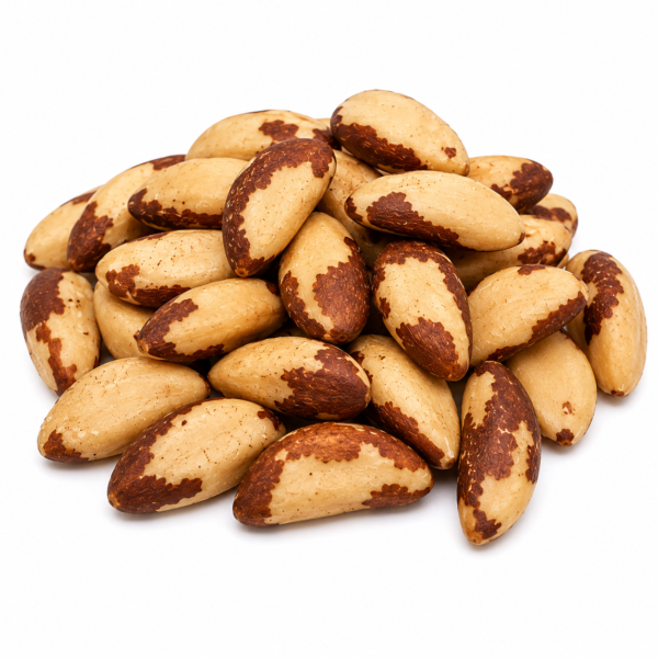 Premium Brazil Nuts
