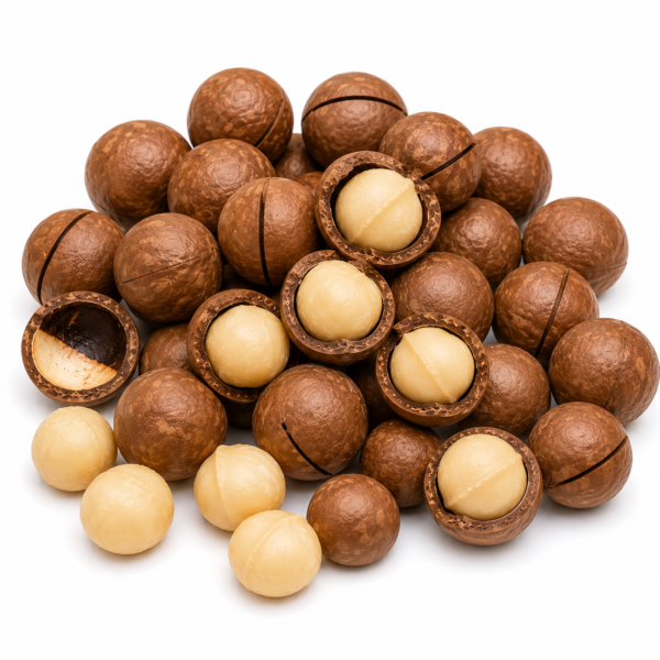 Macadamia Nuts