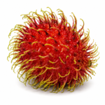 Rambutan - Image 3