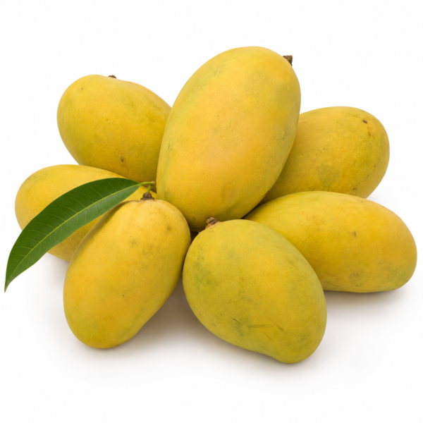 Chaunsa Mango (1 Dozen)