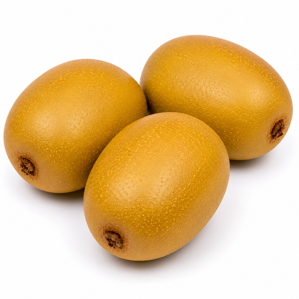 ChatGPT Image Jul 23, 2026, 12_13_13 AM Kiwi - Golden - Image 1