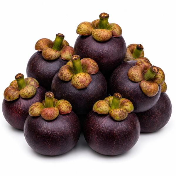 Mangosteen