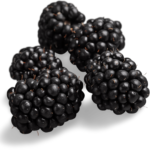 Blackberry (125g)