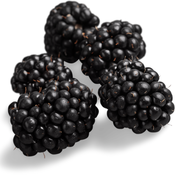 Blackberry (125g)