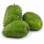 Soursop - Lakshman Phal